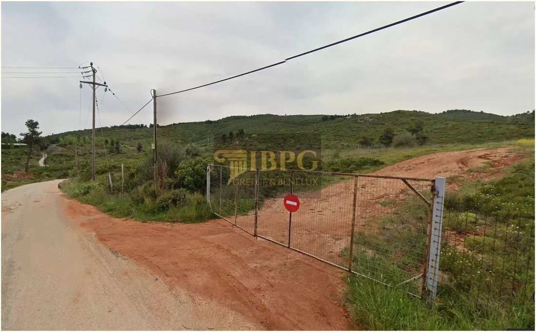 Land in Oropos, Attica, Greece 2 - 16931240