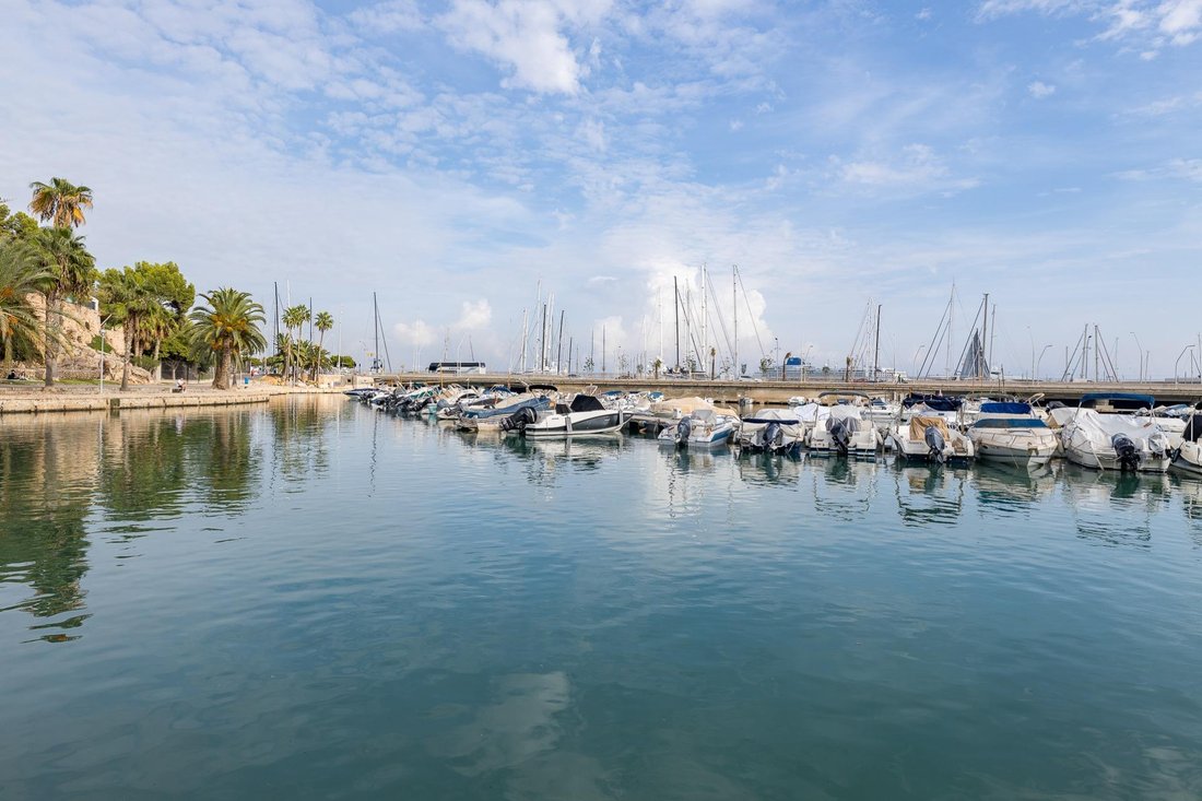 Apartment in Palma, Balearic Islands, Spain 3 - 16935476