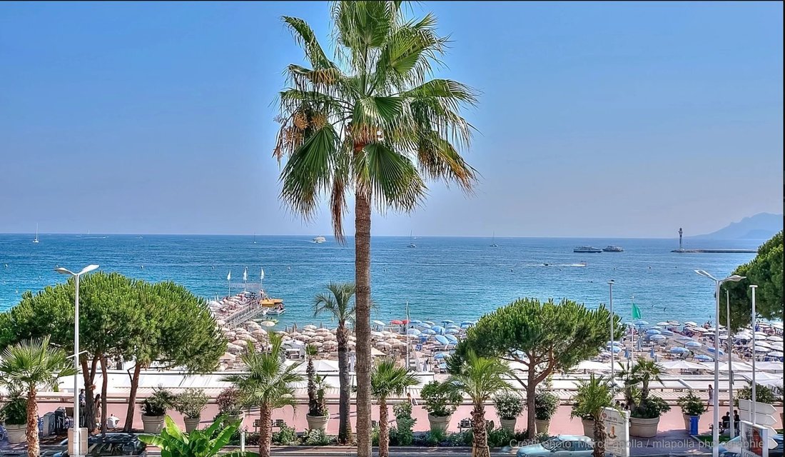 Apartment in Cannes, Provence-Alpes-Côte d'Azur, France 3 - 16933277
