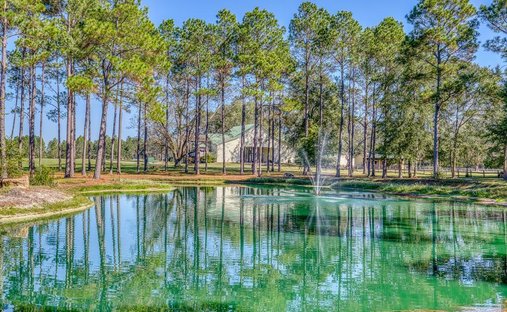 Maison à Laurel Hill, Floride, États-Unis 1