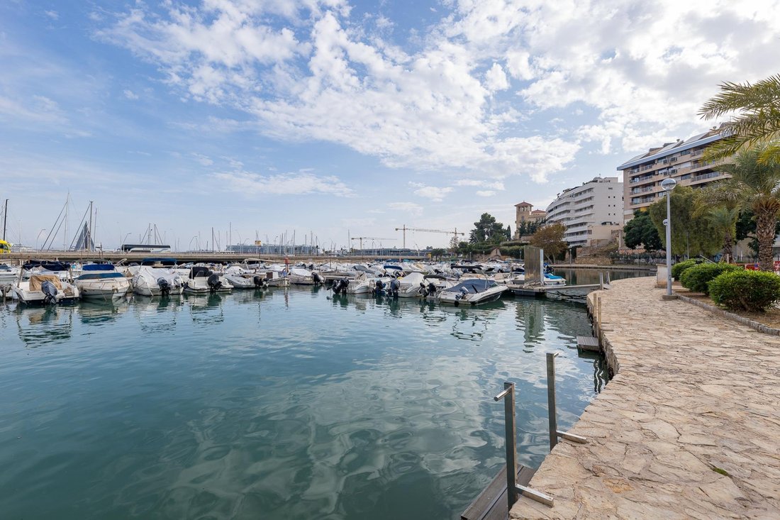 Apartment in Palma, Balearic Islands, Spain 1 - 16935476