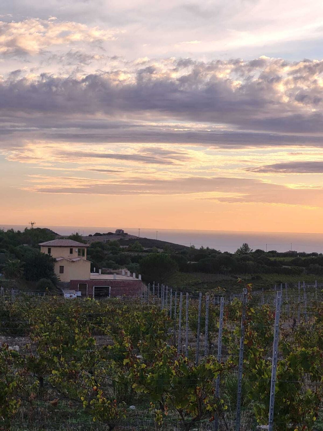 Farm Ranch in Tresnuraghes, Sardinia, Italy 3 - 16935001
