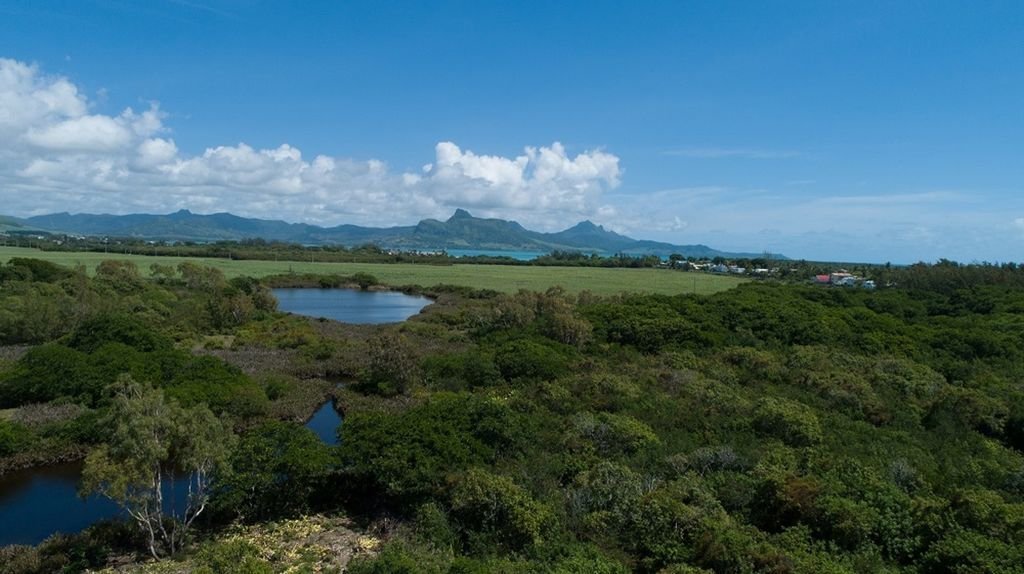 Villa in Blue Bay, Grand Port District, Mauritius 4 - 16935801