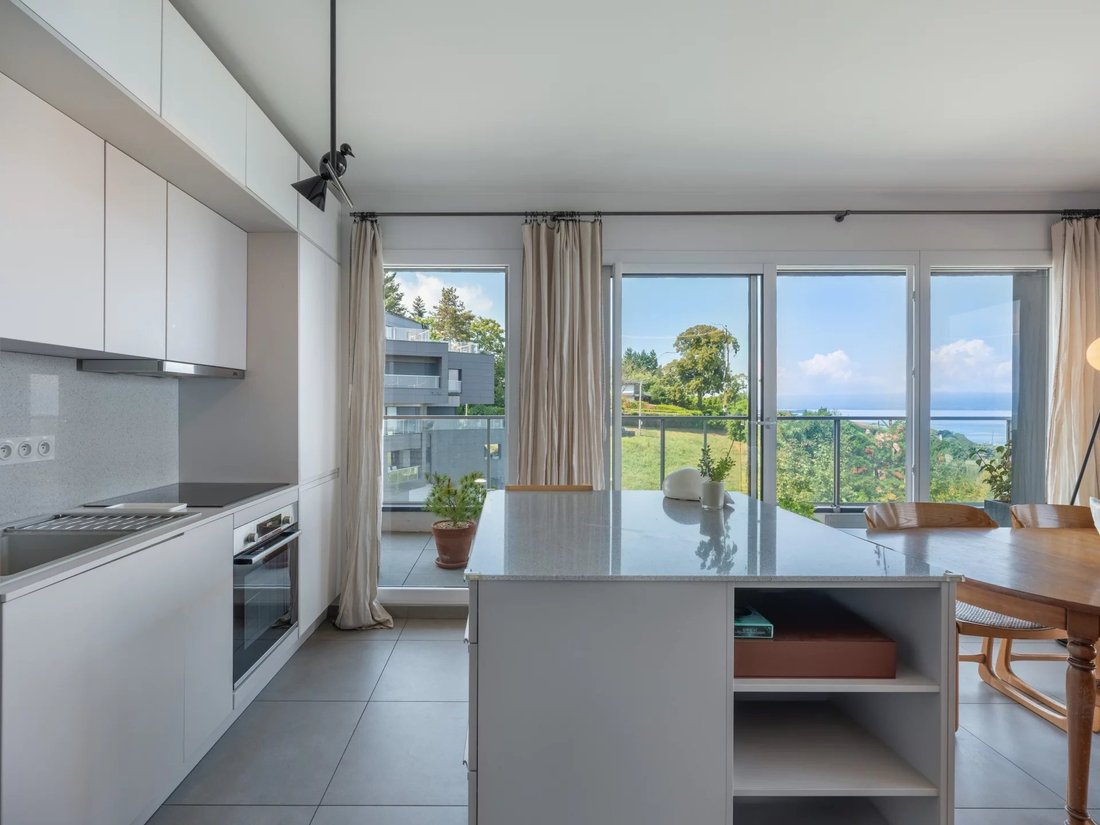 Apartment in Neuvecelle, Auvergne-Rhône-Alpes, France 3 - 16935566