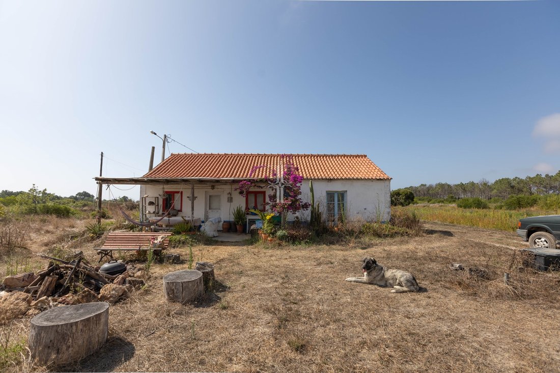Farm Ranch in Rogil, Algarve, Portugal 4 - 14562396