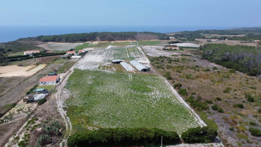 Farm Ranch in Rogil, Algarve, Portugal 5 - 14562396