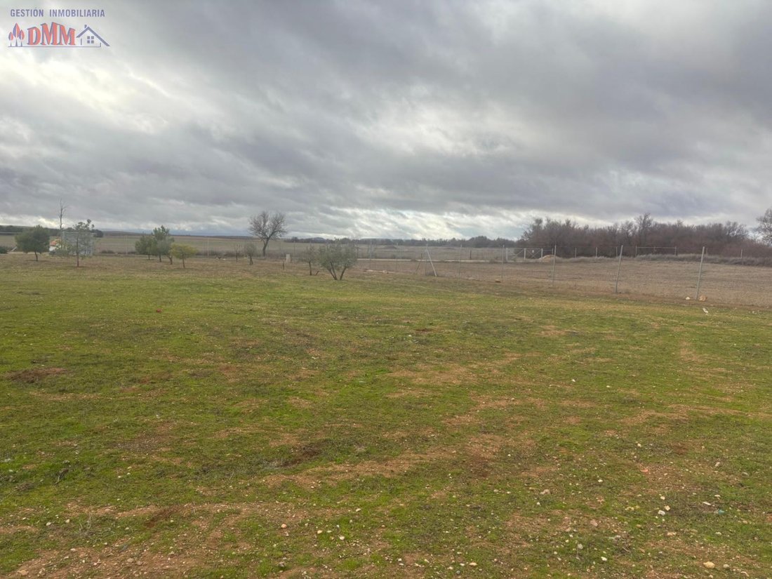 Finca in Toledo, Castile-La Mancha, Spain 5 - 16129168
