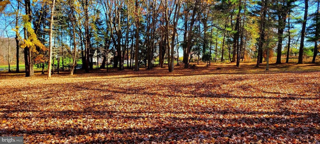 House in Concordville, Pennsylvania, United States 1 - 16937941