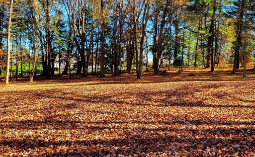 House in Concordville, Pennsylvania, United States 1