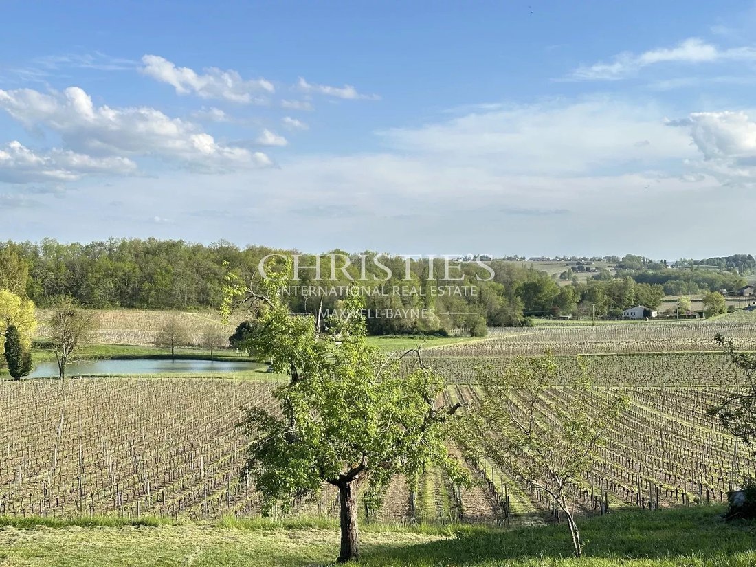 Farm Ranch in Saint-Émilion, Nouvelle-Aquitaine, France 3 - 16937703