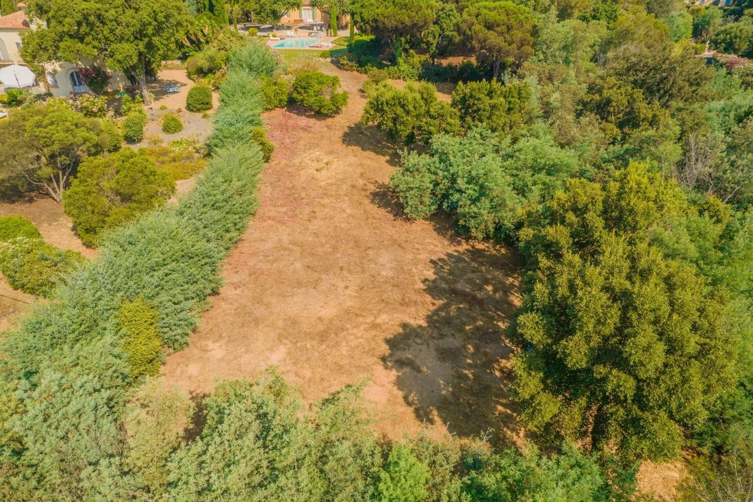 Land in Grimaud, Provence-Alpes-Côte d'Azur, France 4 - 14505713