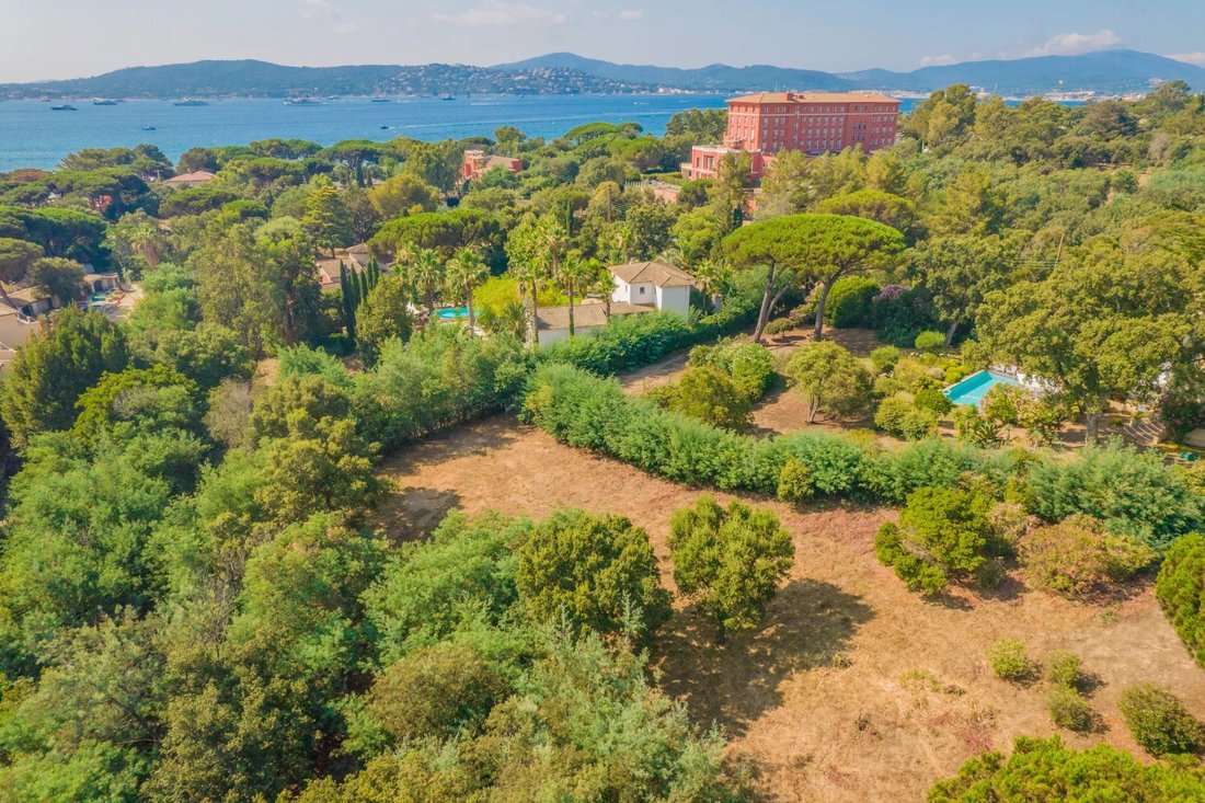 Land in Grimaud, Provence-Alpes-Côte d'Azur, France 2 - 14505713