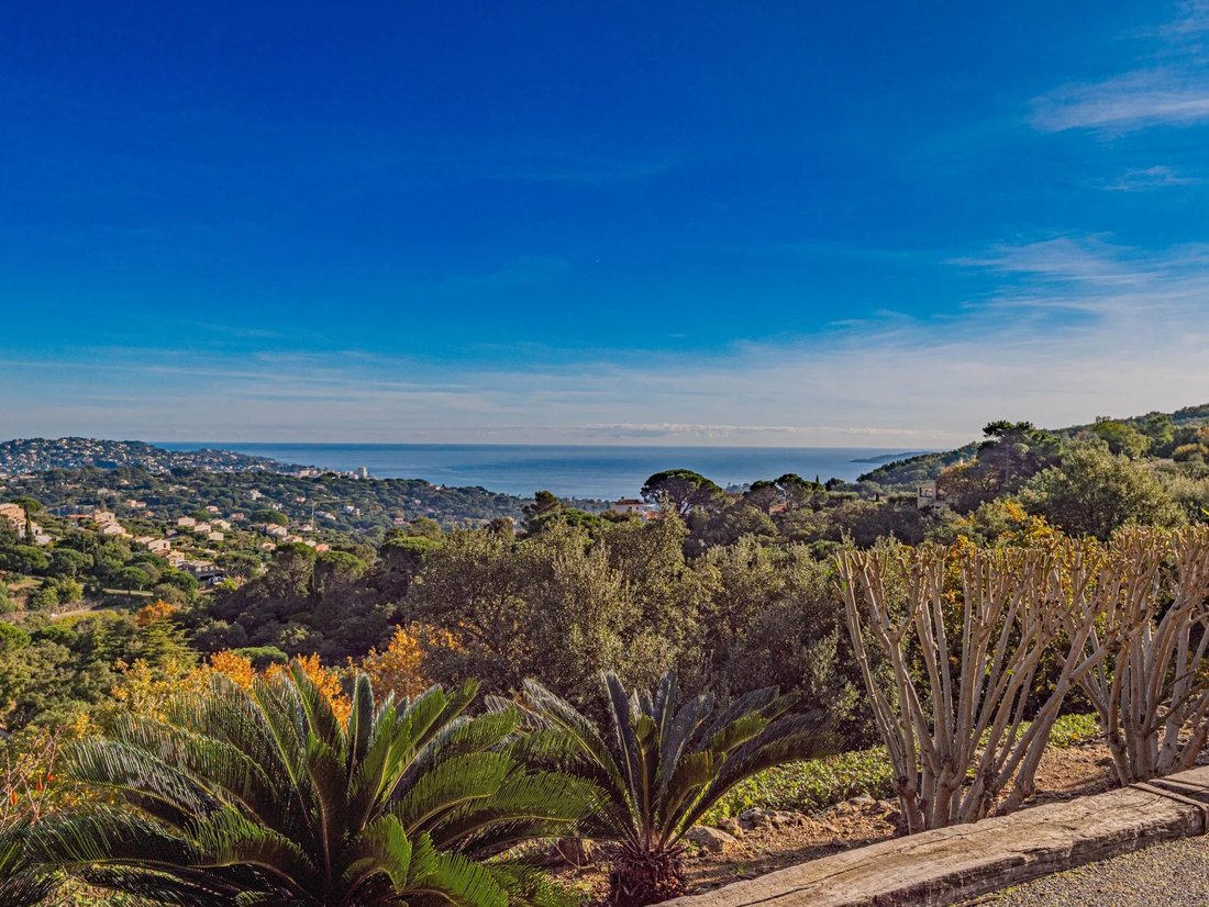 Villa in Grimaud, Provence-Alpes-Côte d'Azur, France 3 - 16770943