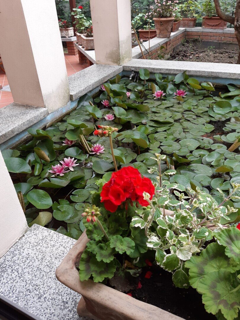 Villa in Paese, Riccione, Emilia-Romagna 3 - 16937466