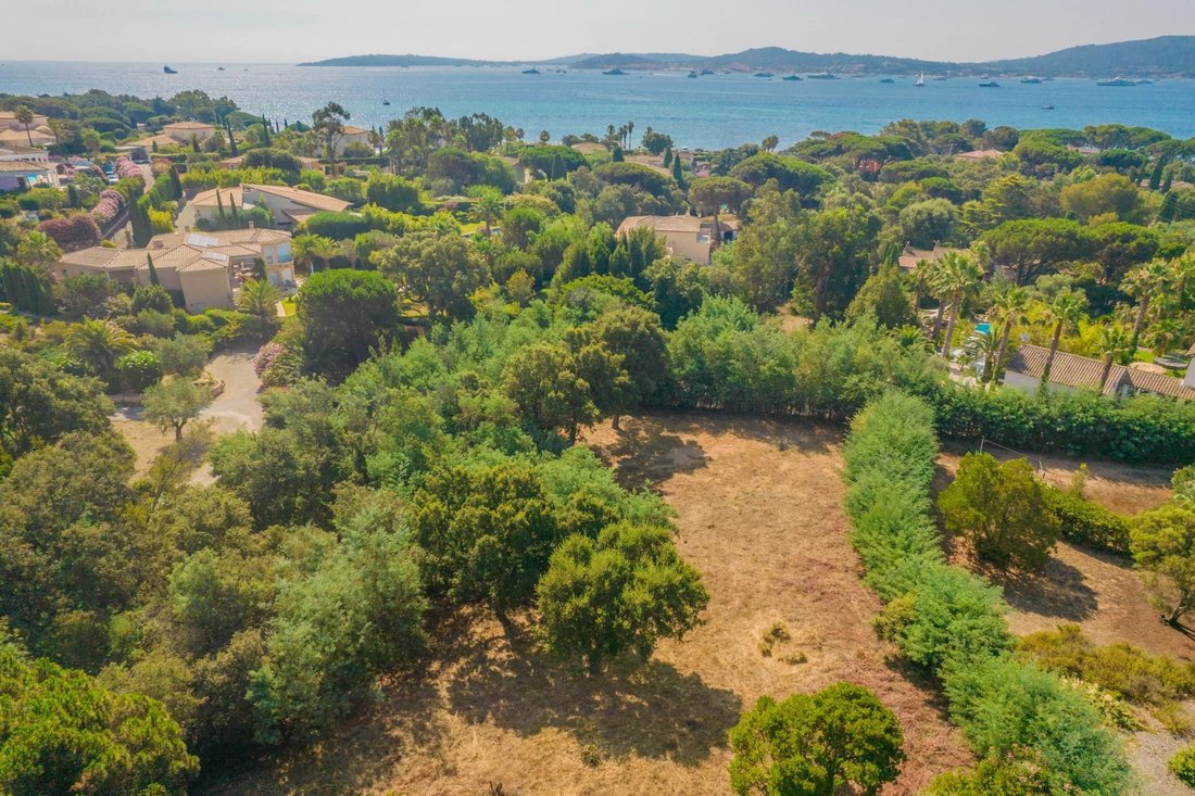 Land in Grimaud, Provence-Alpes-Côte d'Azur, France 1 - 14505713