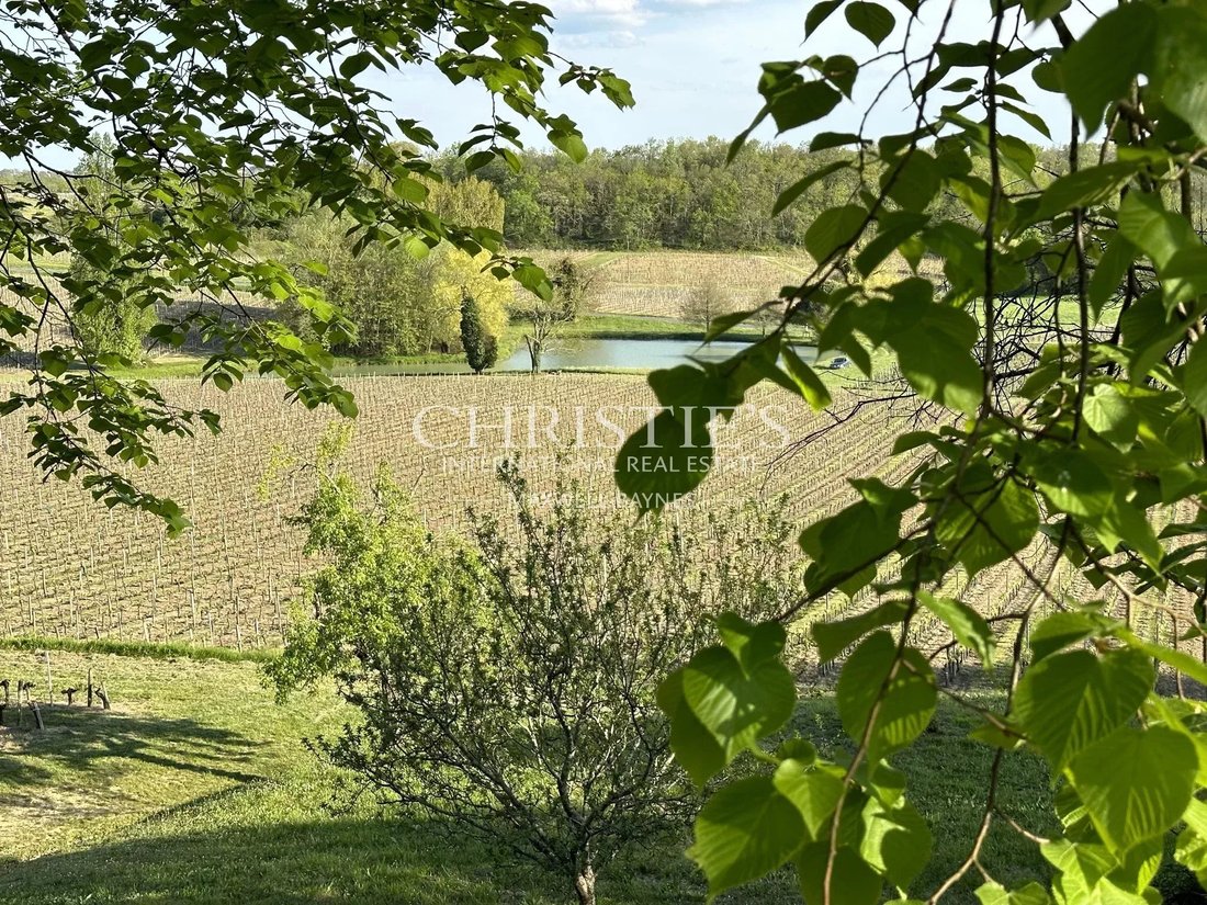 Farm Ranch in Saint-Émilion, Nouvelle-Aquitaine, France 4 - 16937703