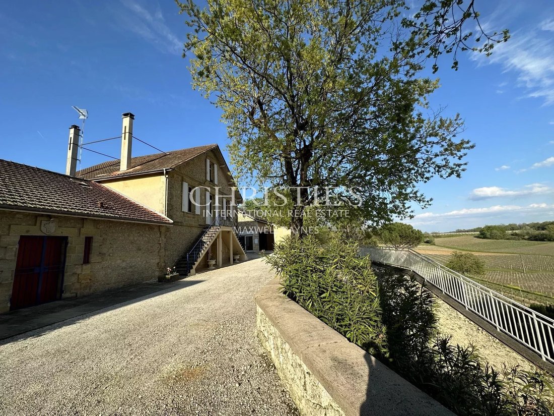 Farm Ranch in Saint-Émilion, Nouvelle-Aquitaine, France 5 - 16937703