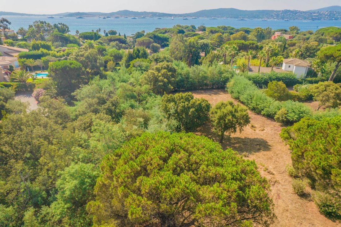 Land in Grimaud, Provence-Alpes-Côte d'Azur, France 5 - 14505713