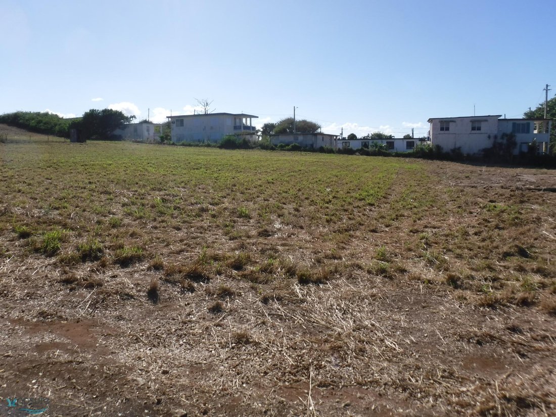 Land in Arecibo, Arecibo, Puerto Rico 3 - 16937781