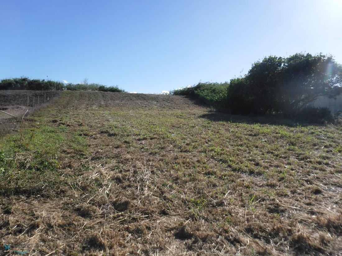 Land in Arecibo, Arecibo, Puerto Rico 5 - 16937781