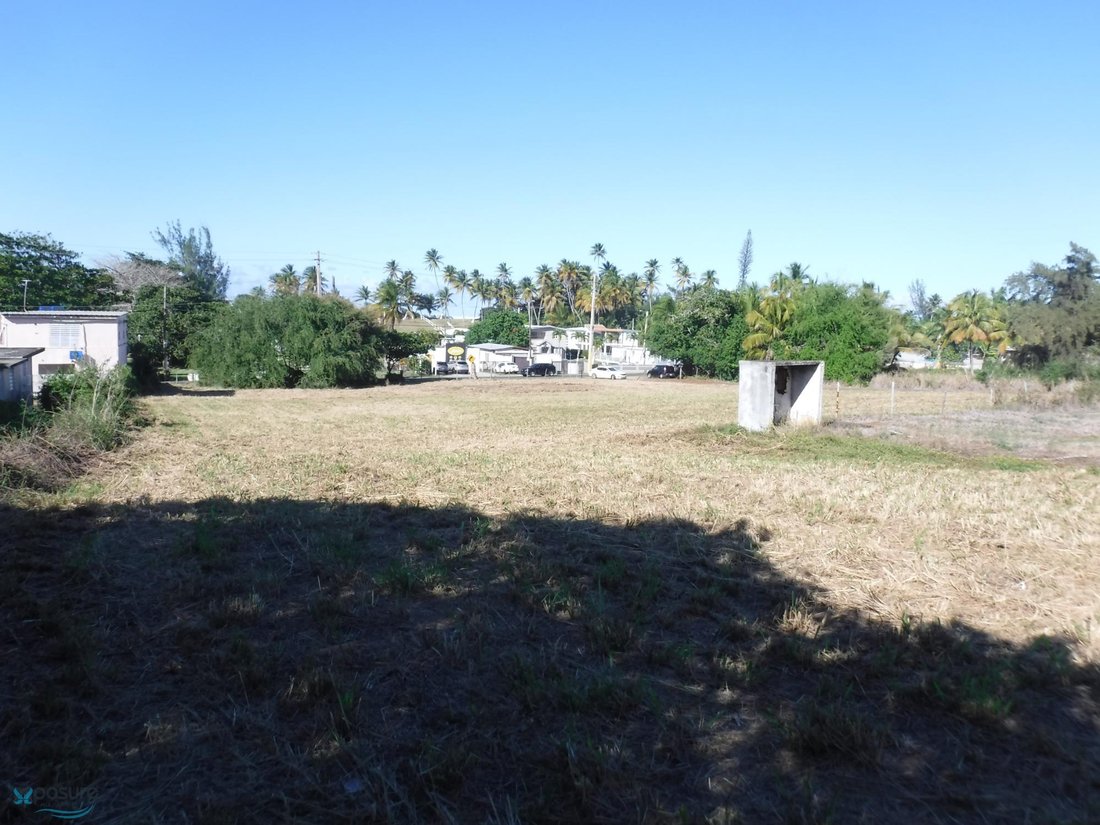 Land in Arecibo, Arecibo, Puerto Rico 4 - 16937781