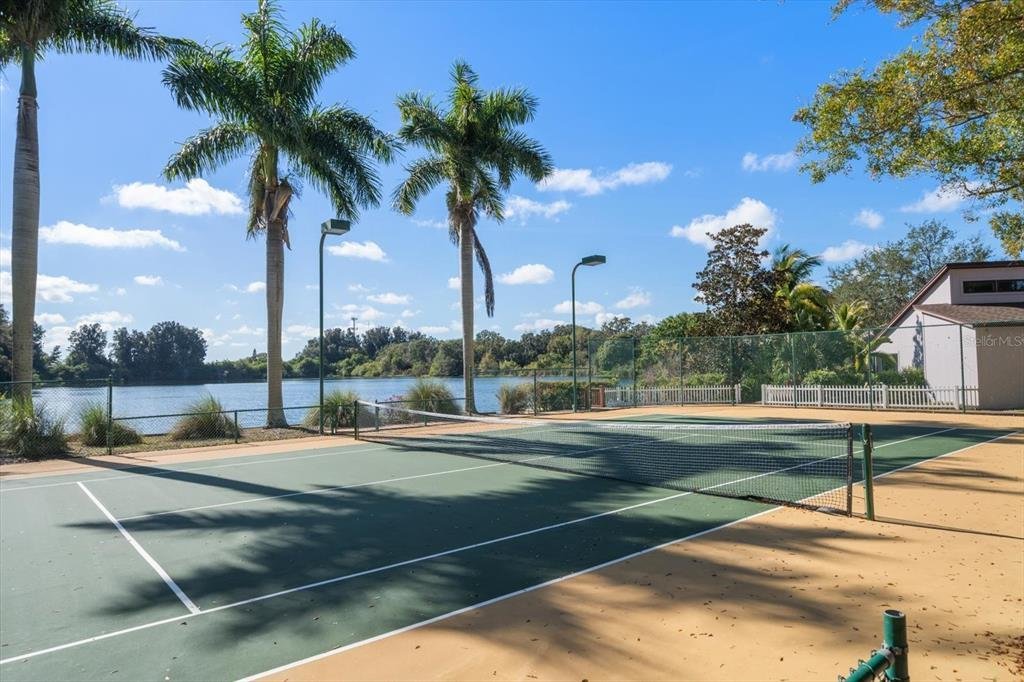 House in Clearwater, Florida, United States 4 - 16937728