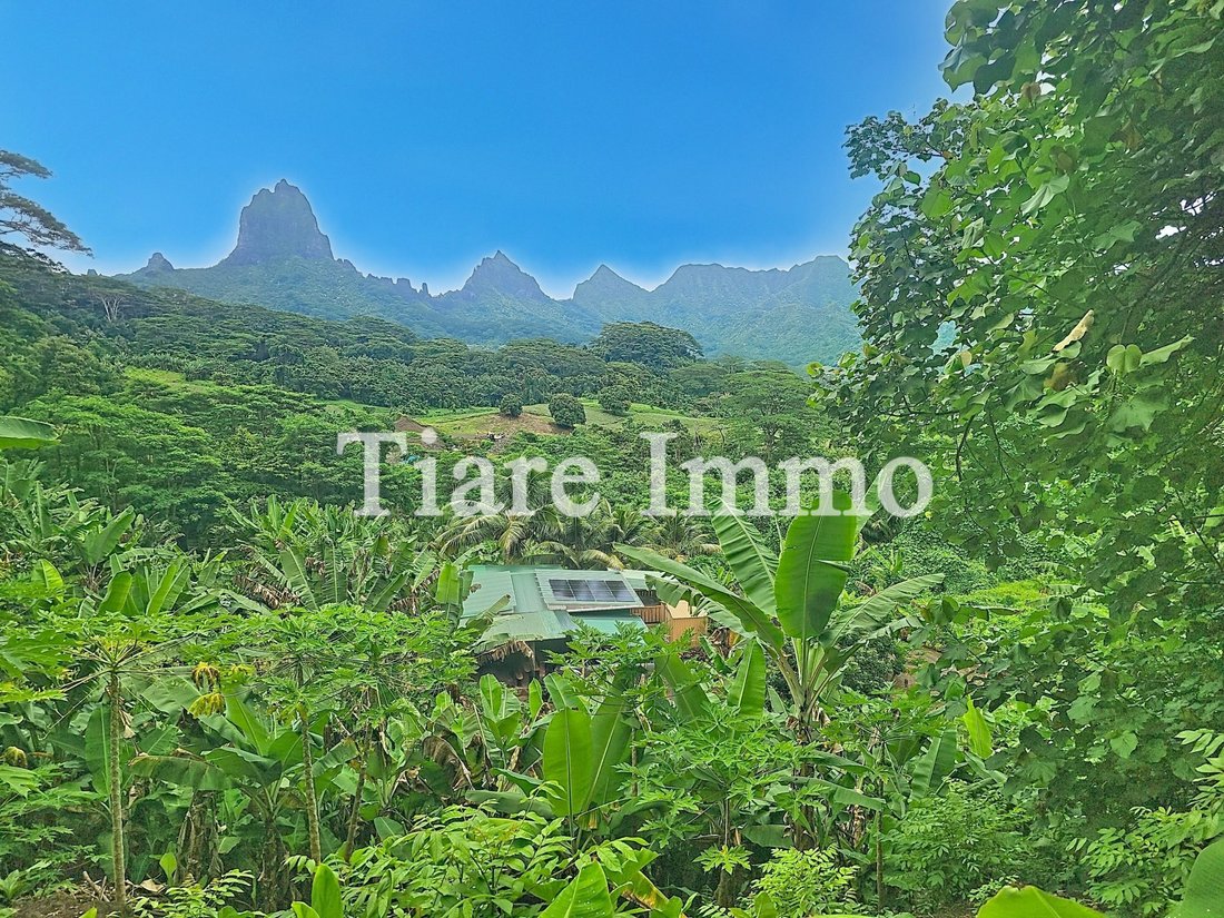 Farm Ranch in Moorea-Maiao, Windward Islands, French Polynesia 5 - 16942031