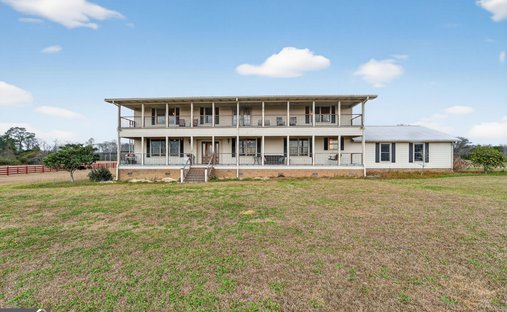 Azienda agricola a Sylvania, Georgia, Stati Uniti 1