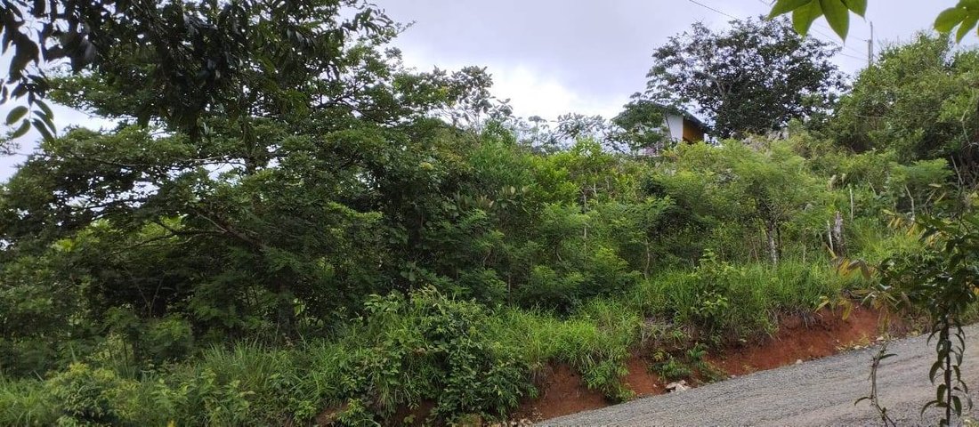 Land in Penonome, Coclé Province, Panama 2 - 16941037
