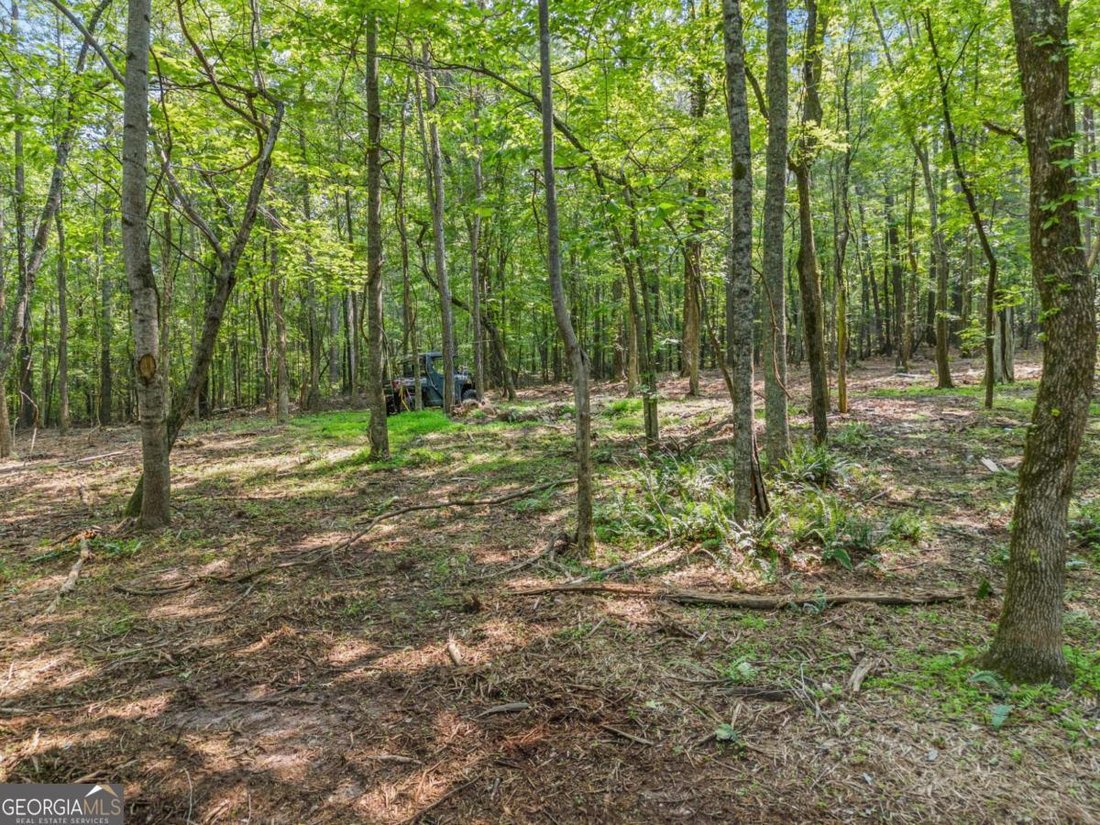Land in Milton, Georgia, United States 4 - 16940830