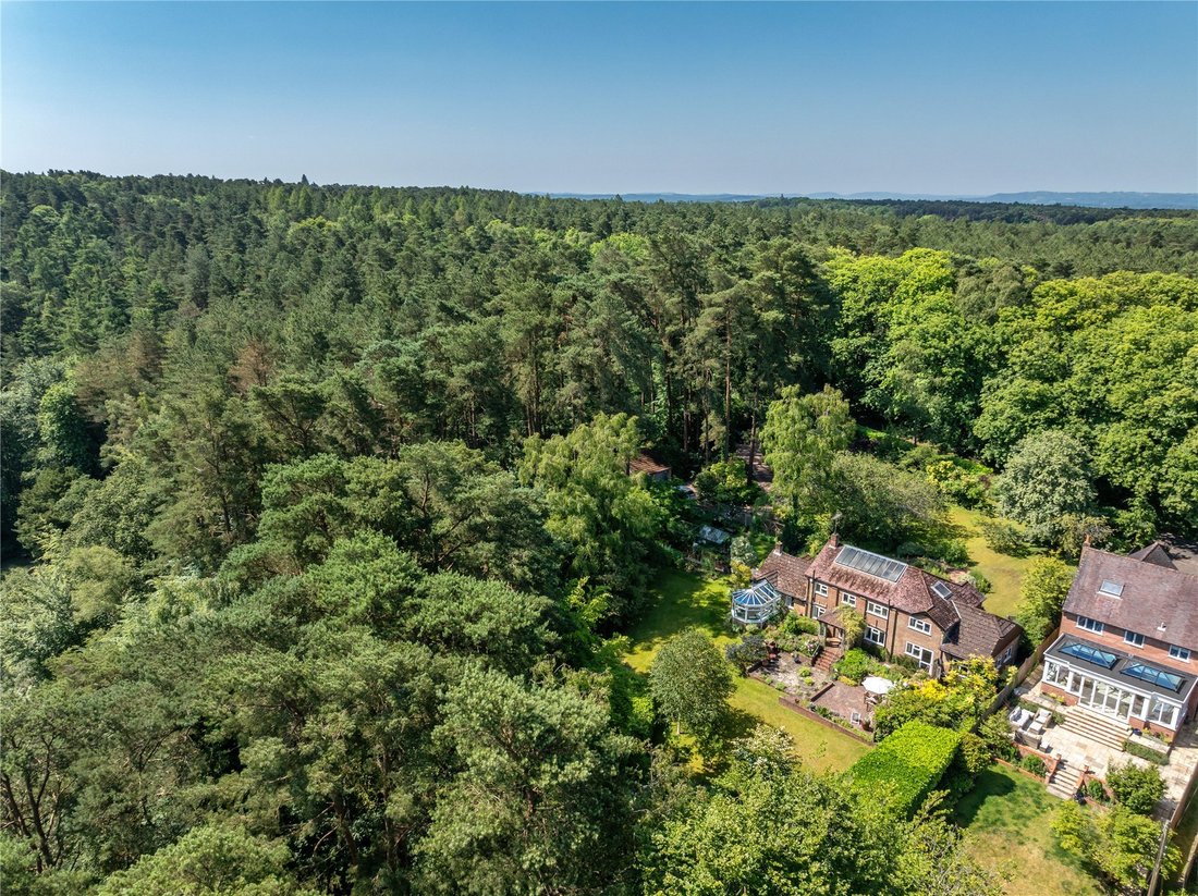 House in Grayshott, England 2 - 16941140