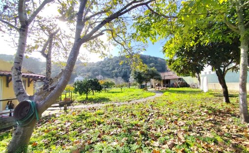 Finca a Colares, Lisbona, Portogallo 1