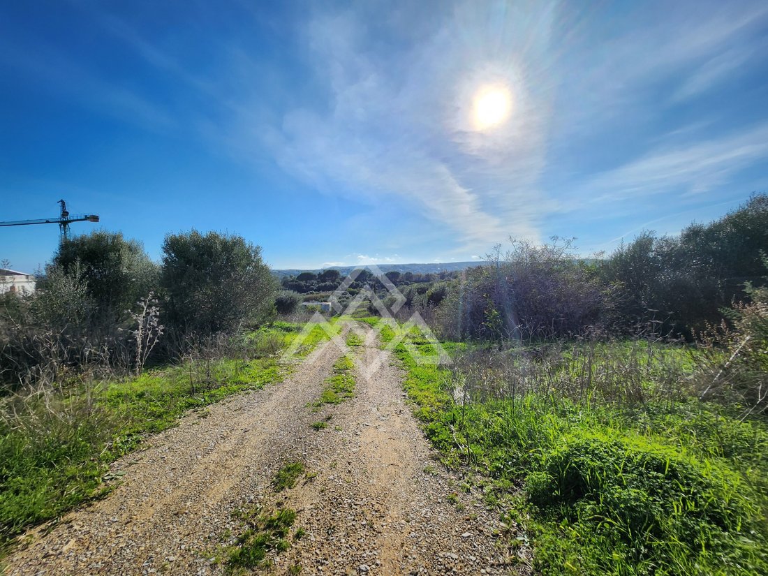 Land in Sotogrande, San Roque, Andalusia 1 - 16938142