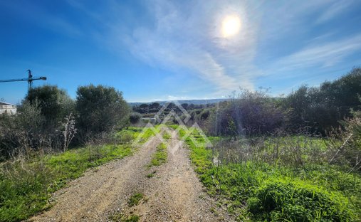 Terreno en Sotogrande, San Roque, Andalucía 1