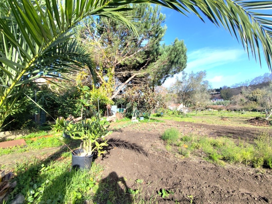 Finca in Colares, Lisbon, Portugal 2 - 16673457