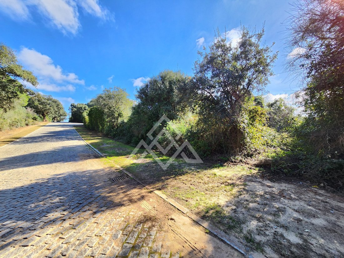 Land in Sotogrande, San Roque, Andalusia 2 - 16938123