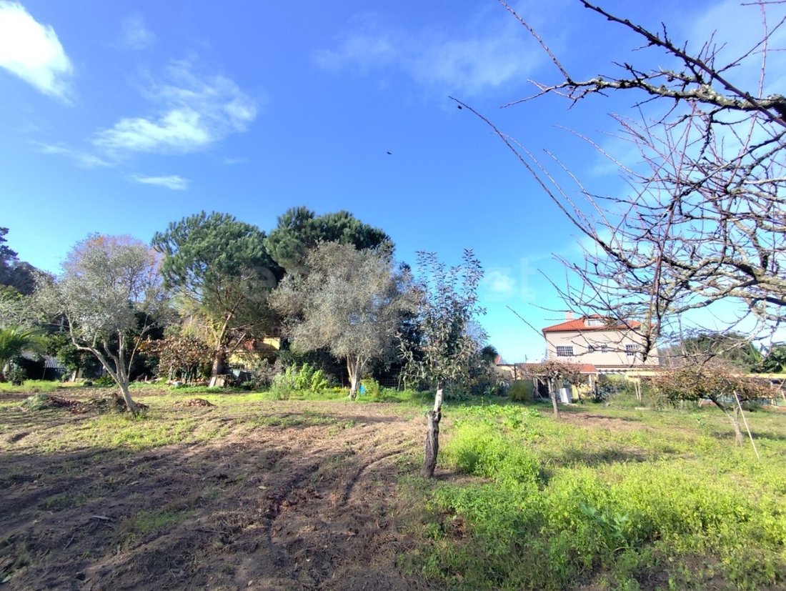 Finca in Colares, Lisbon, Portugal 5 - 16673457