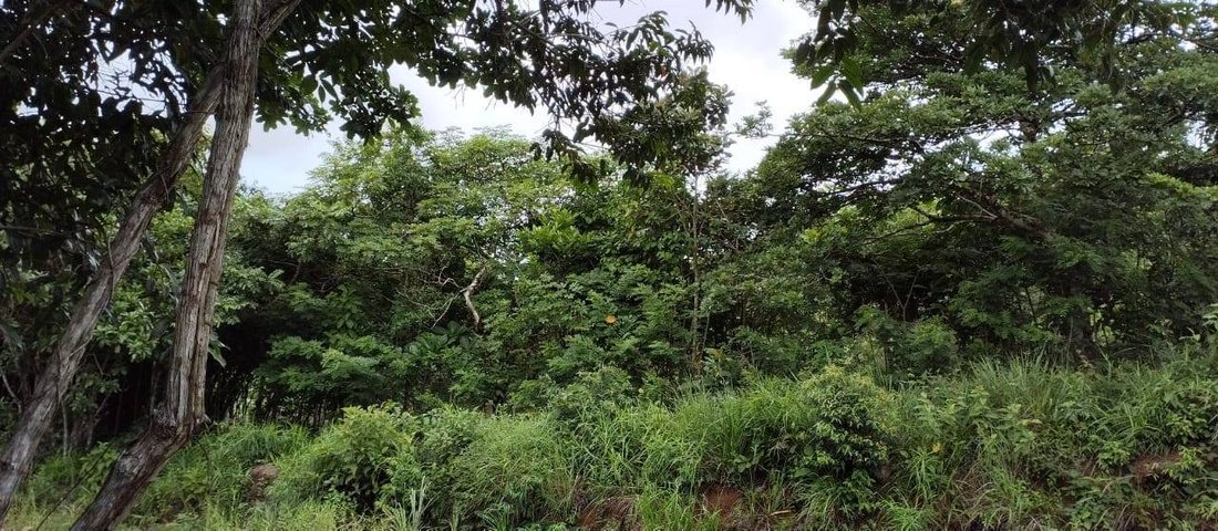 Land in Penonome, Coclé Province, Panama 5 - 16941037