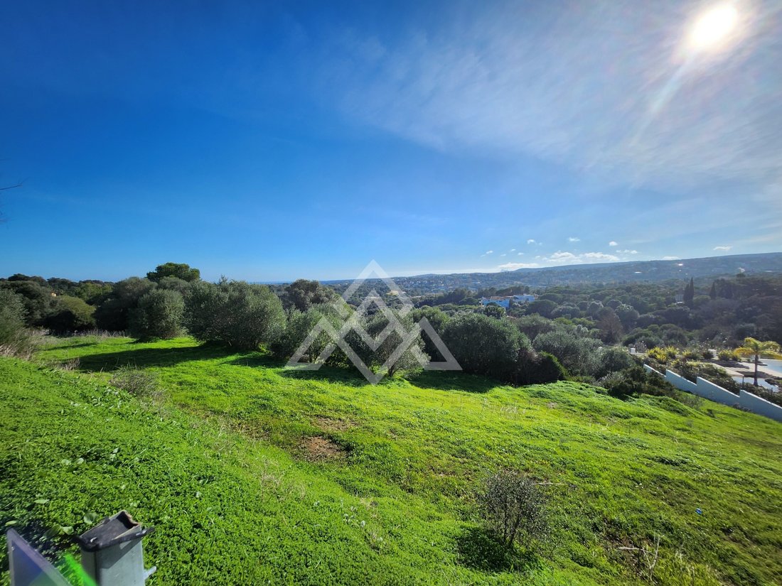 Land in Sotogrande, San Roque, Andalusia 3 - 16938151