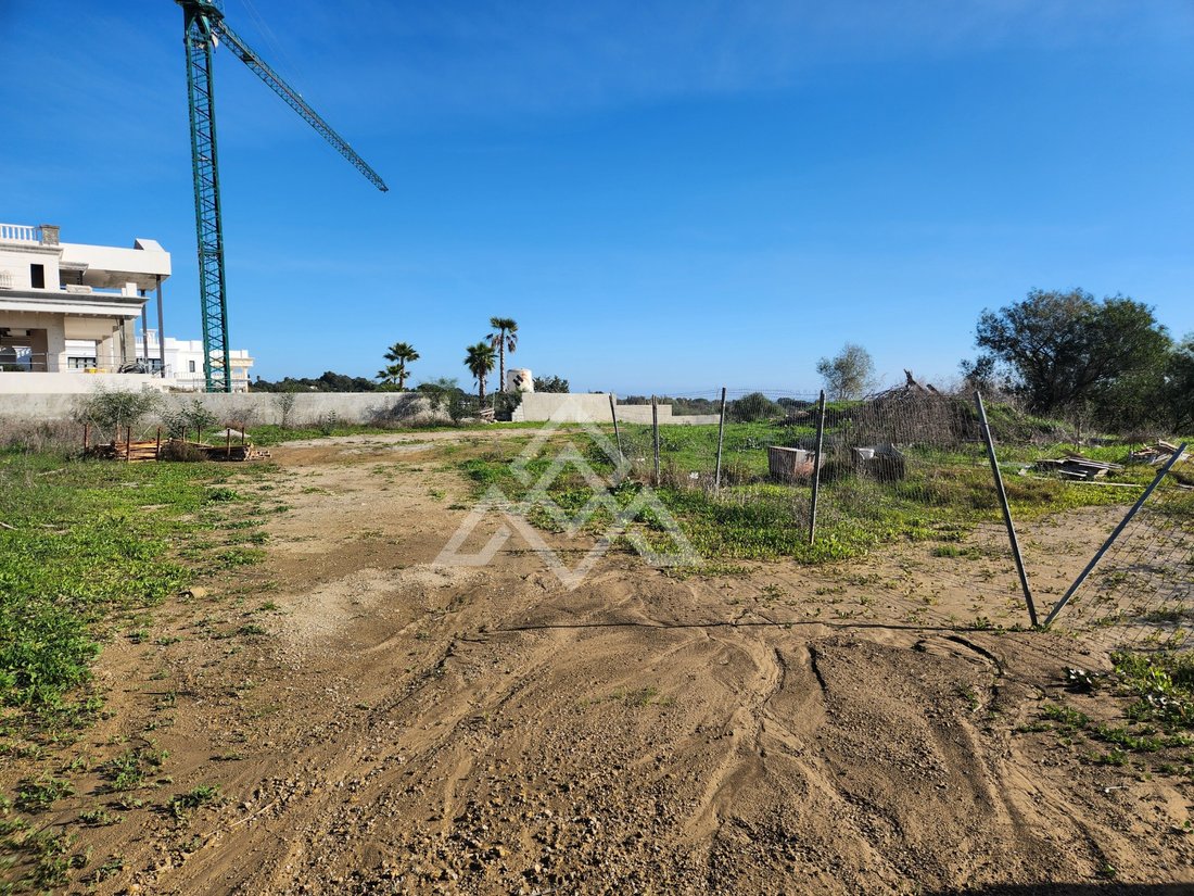 Land in Sotogrande, San Roque, Andalusia 4 - 16938142