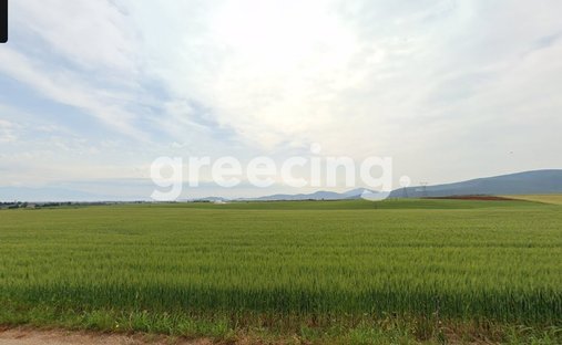 Terreno en Almyros, Thessaly and Central Greece, Grecia 1