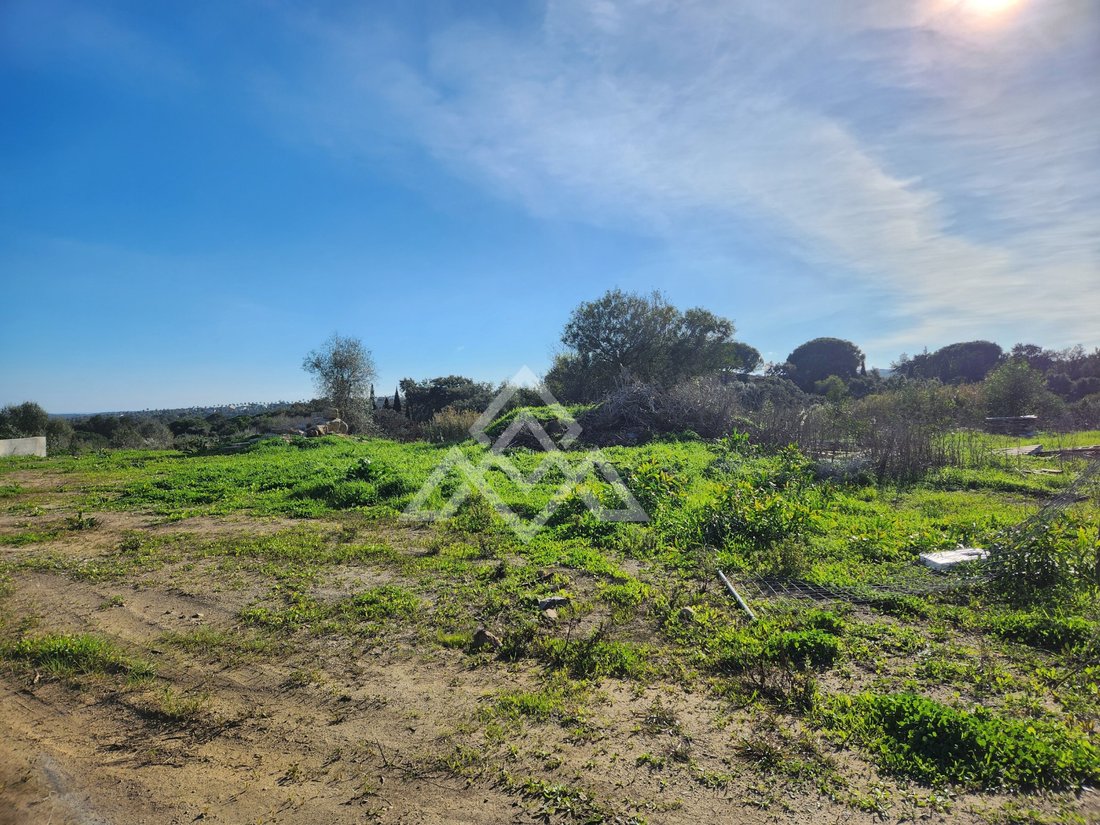 Land in Sotogrande, San Roque, Andalusia 5 - 16938142