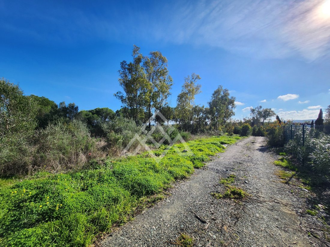 Land in Sotogrande, San Roque, Andalusia 1 - 16938130