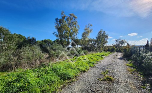 Land in Sotogrande, San Roque, Andalusia 1