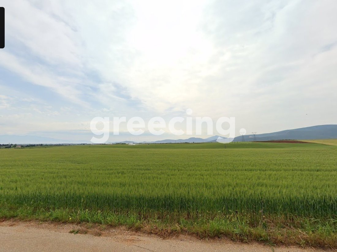 Land in Almyros, Thessaly and Central Greece, Greece 1 - 16942302