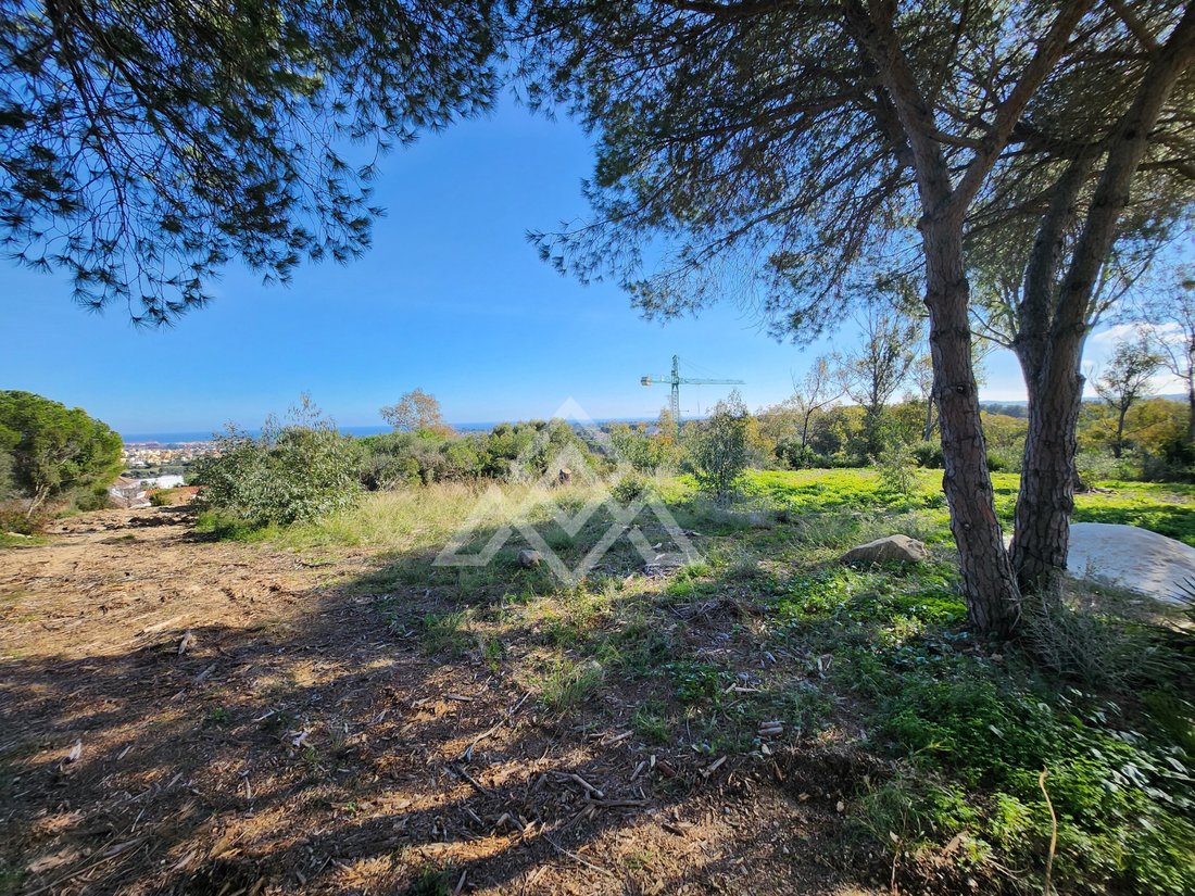 Land in Sotogrande, San Roque, Andalusia 5 - 16938130
