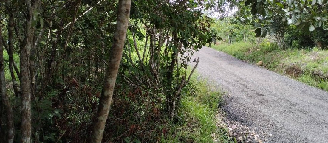 Land in Penonome, Coclé Province, Panama 3 - 16941037