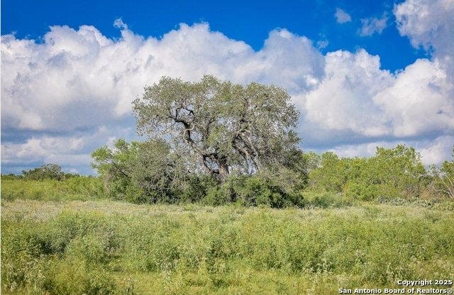 Land in San Antonio, Texas, Vereinigte Staaten 4 - 16938477