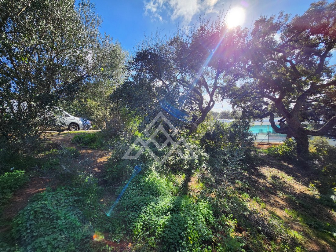 Land in Sotogrande, San Roque, Andalusia 4 - 16938123
