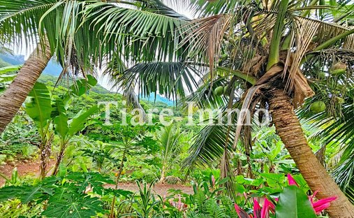 Farm Ranch in Moorea-Maiao, Inseln über dem Winde, Französisch-Polynesien 1